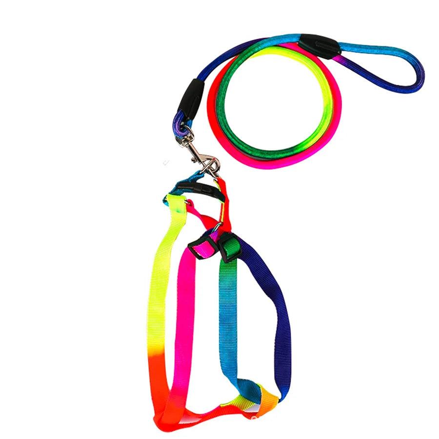 🌈 Colorful Rainbow Pet Harness & Leash Set