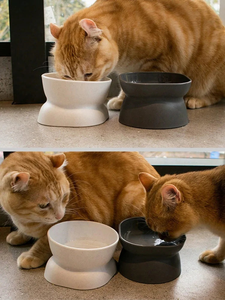 🐾 Pet Food & Water Bowl for Cats and Small Dogs