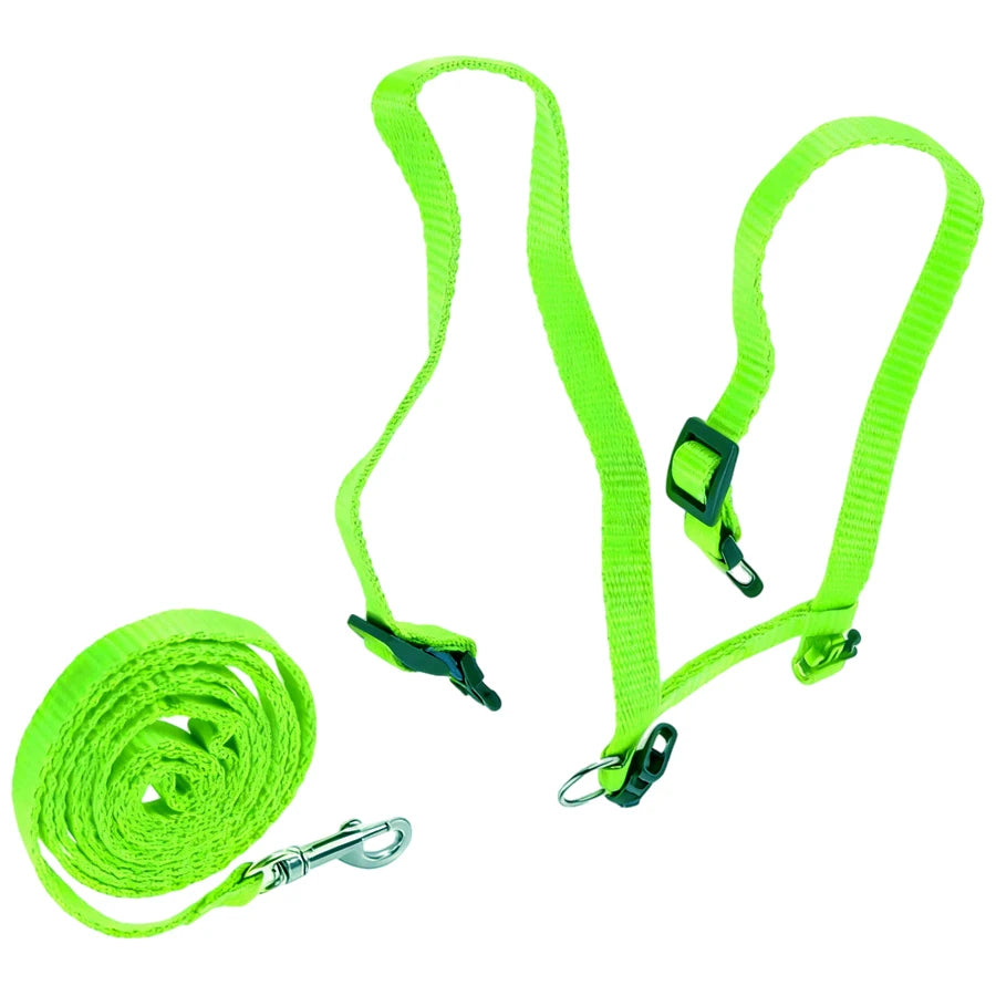 🐱 H-Style Cat Harness with Leash