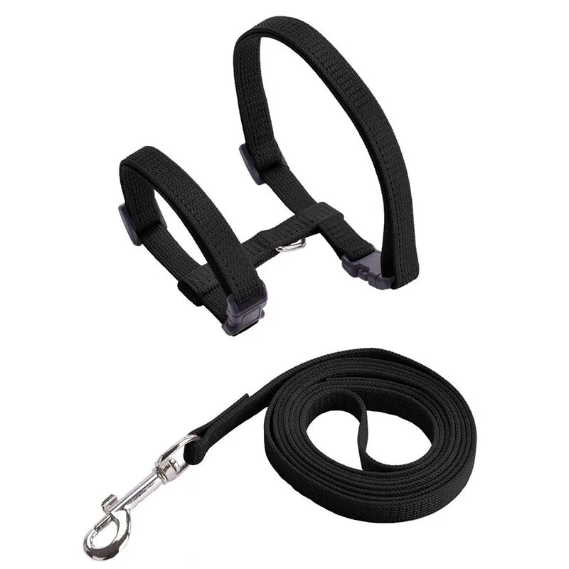 🐱 Adjustable Cat Harness & Leash Set – Safe Breakaway Nylon Design