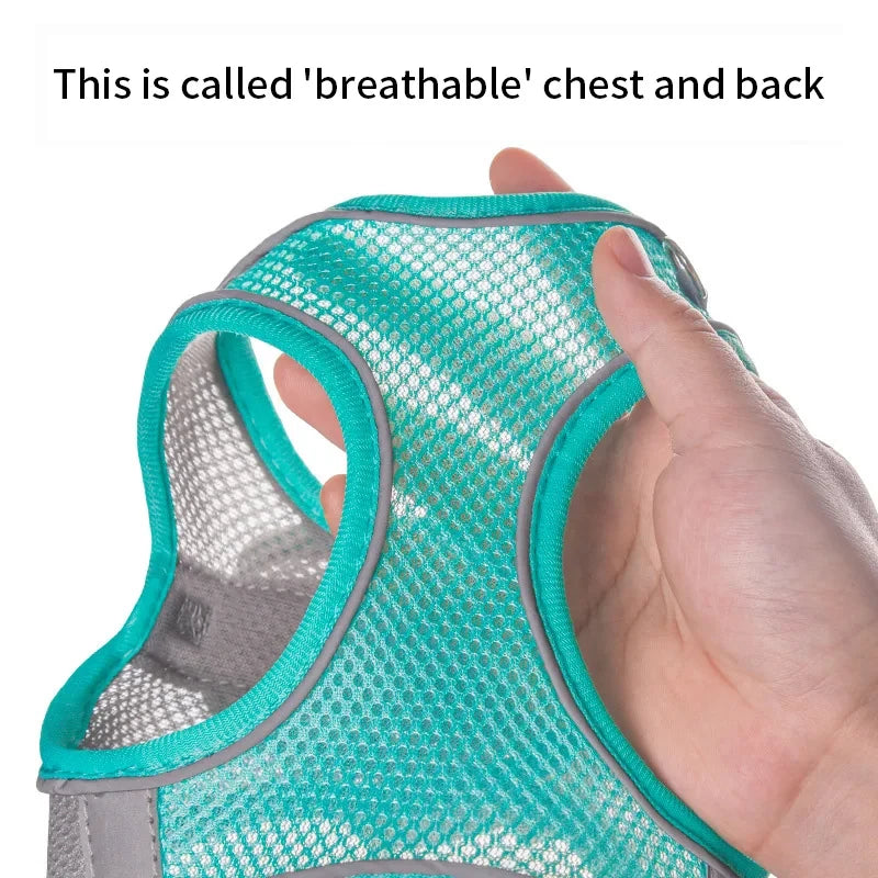 Adjustable Dog Harness & Leash Set – Soft Vest Harness for Small Dogs and Cats