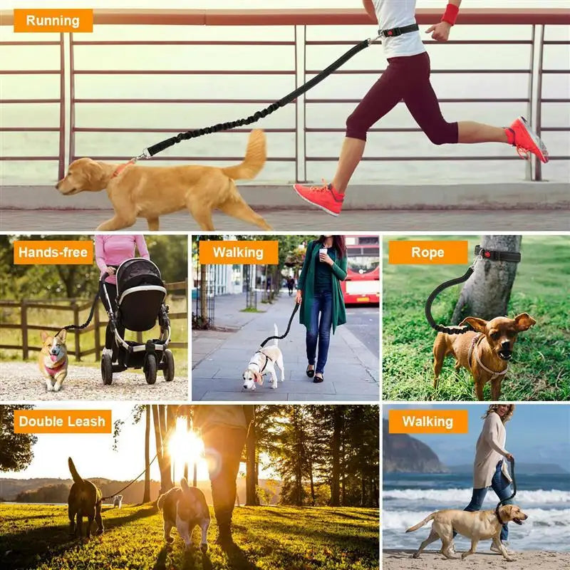 Hands-Free Dog Running Leash with Waist Belt – Adjustable Nylon Leash for Walking, Running & Hiking