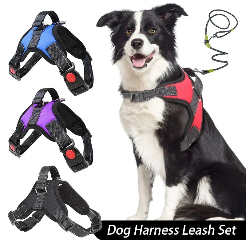 🐕 Dog Harness and Leash Set – No Pull Adjustable with Easy Control Handle