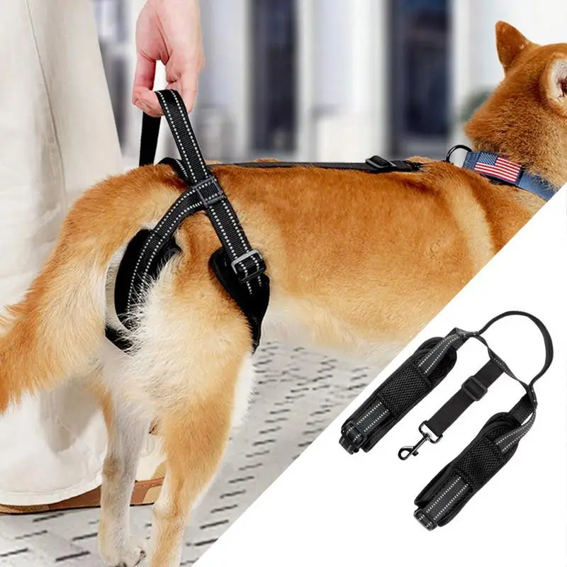 🐕‍🦺 Adjustable Dog Lift Harness – Comfortable Support for Back Legs