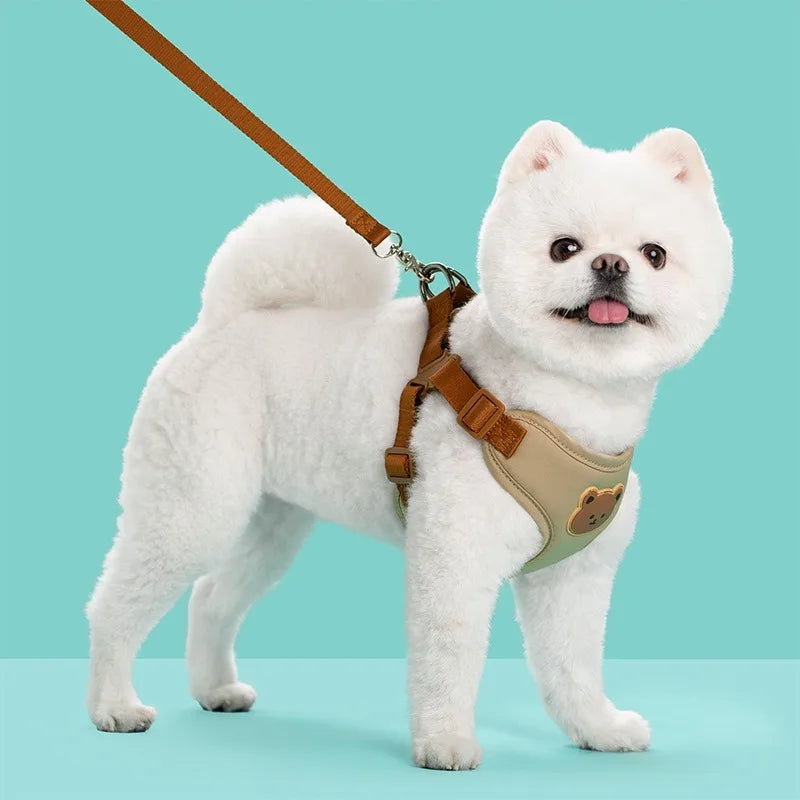 🐶🐱 Cute Pet Harness & Leash Set