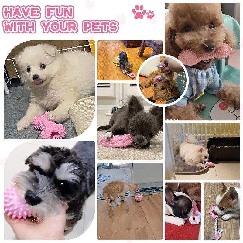 🦷 Pink Dental Chew Dog Toy Set