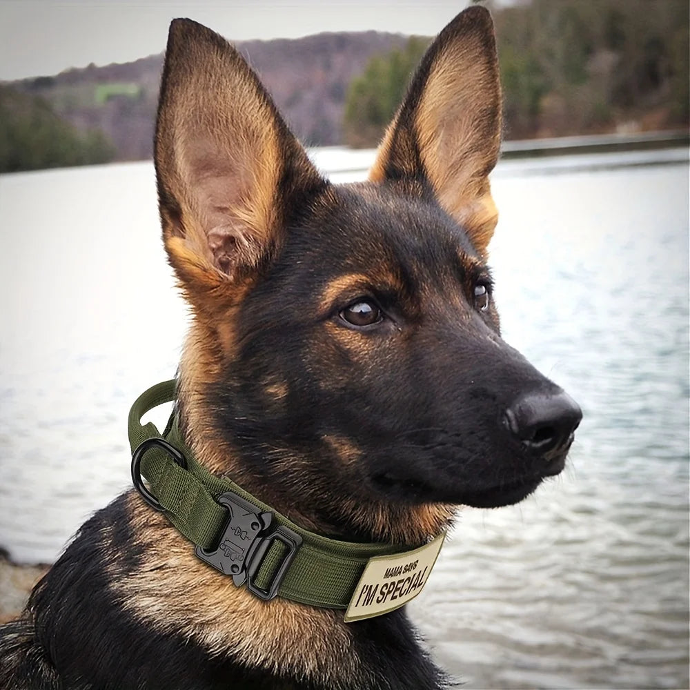 Heavy Duty Tactical Dog Collar with Handle
