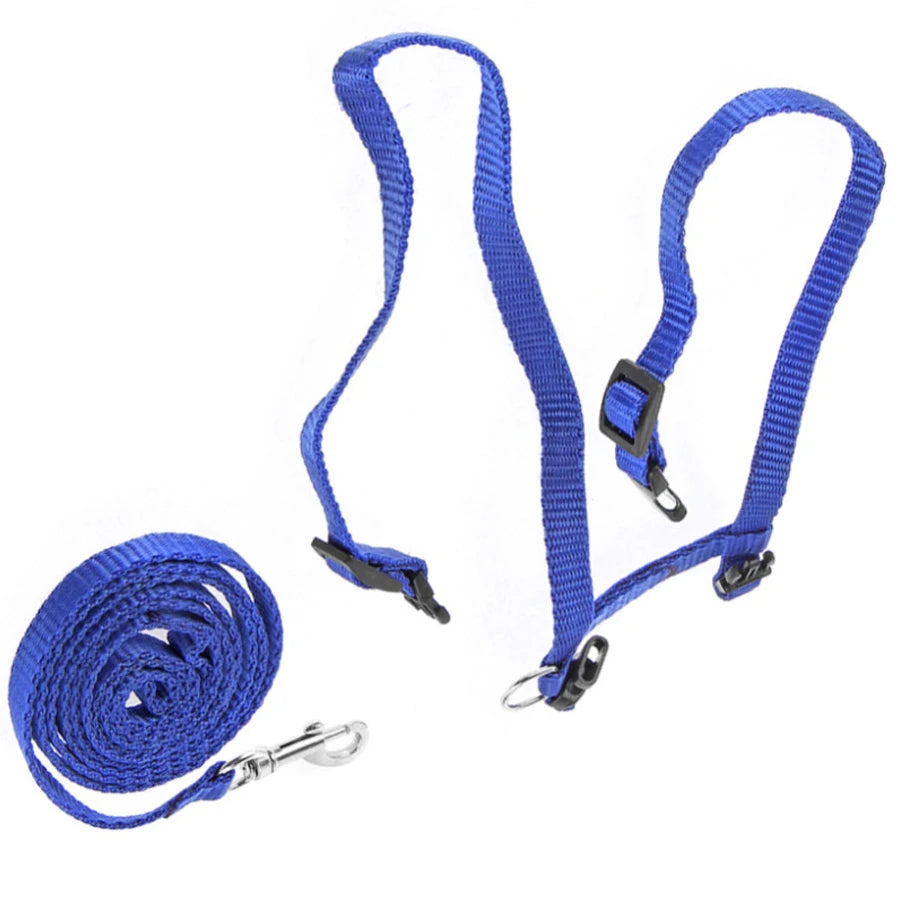 🐱 H-Style Cat Harness with Leash