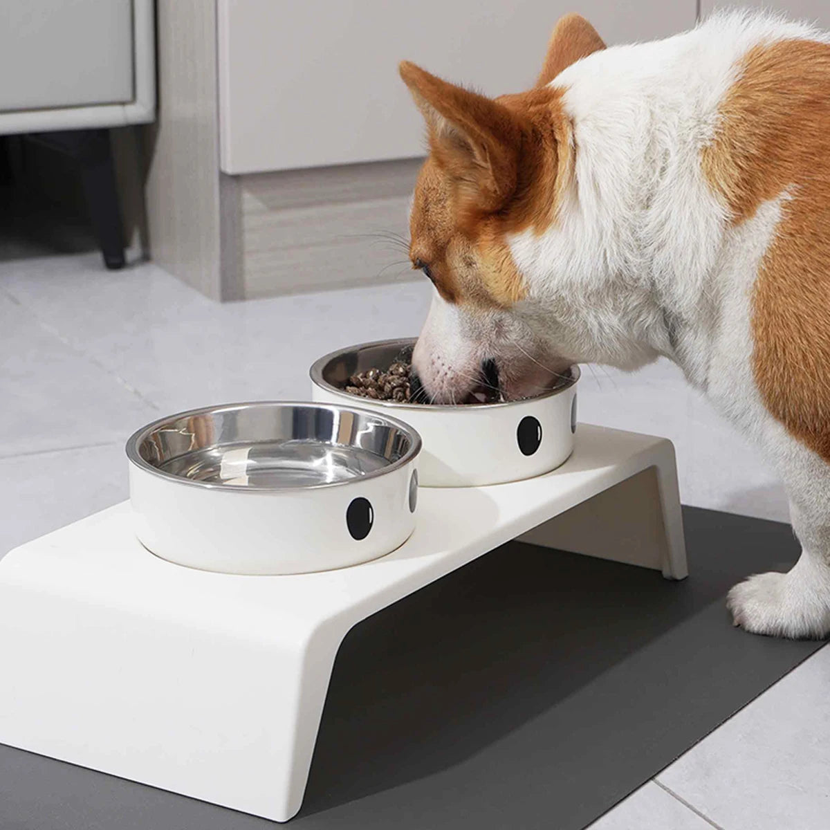 🐶 Elevated Pet Dog Feeder Bowls