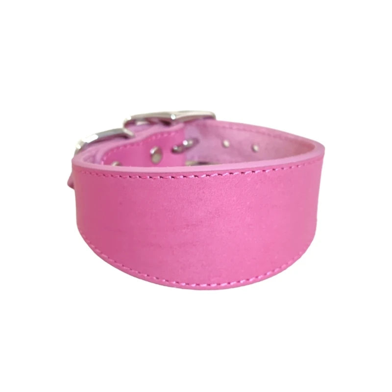 🐾 Wide Padded Genuine Leather Dog Collar