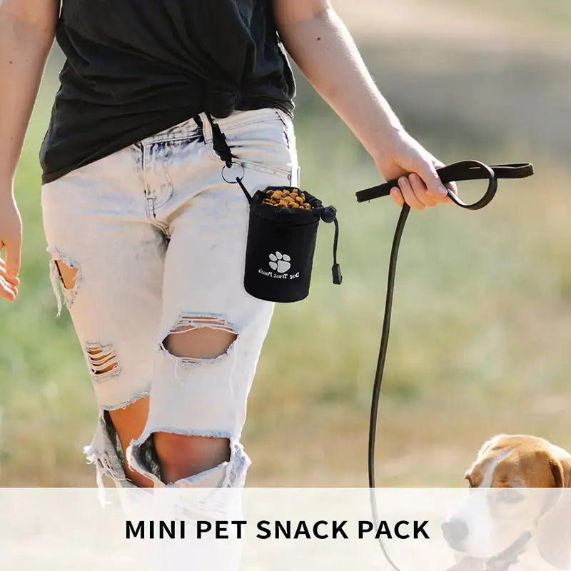 🎒 Mini Dog Training Snack Bag