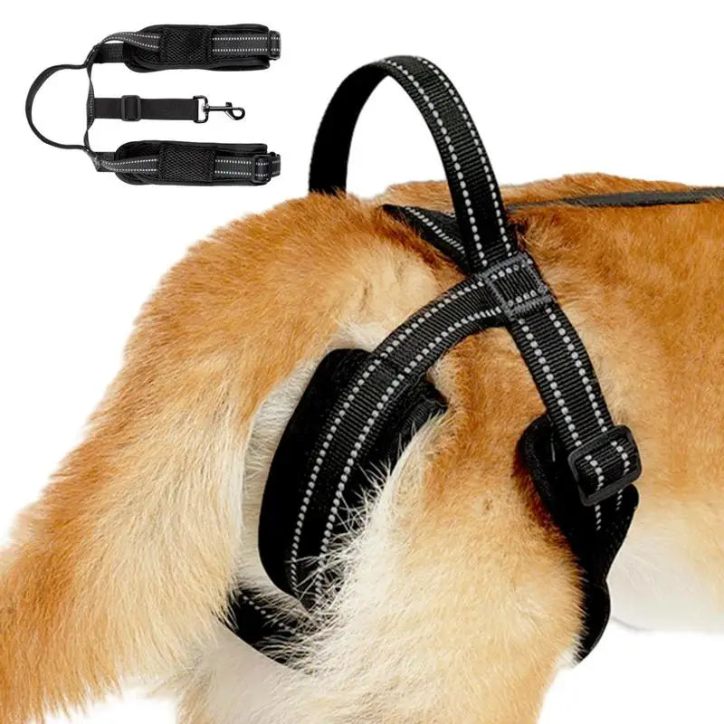 🐕‍🦺 Adjustable Dog Lift Harness – Comfortable Support for Back Legs