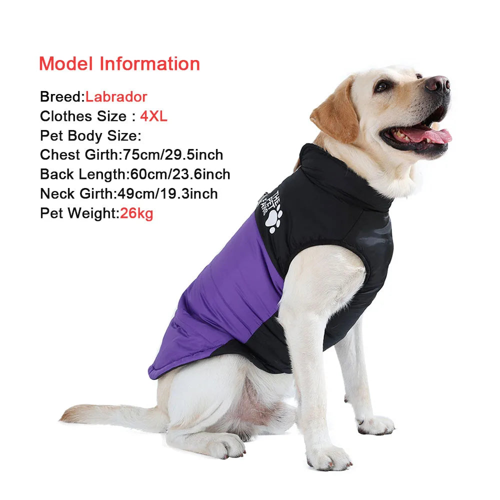 🐕 Winter Big Dog Jacket Coat