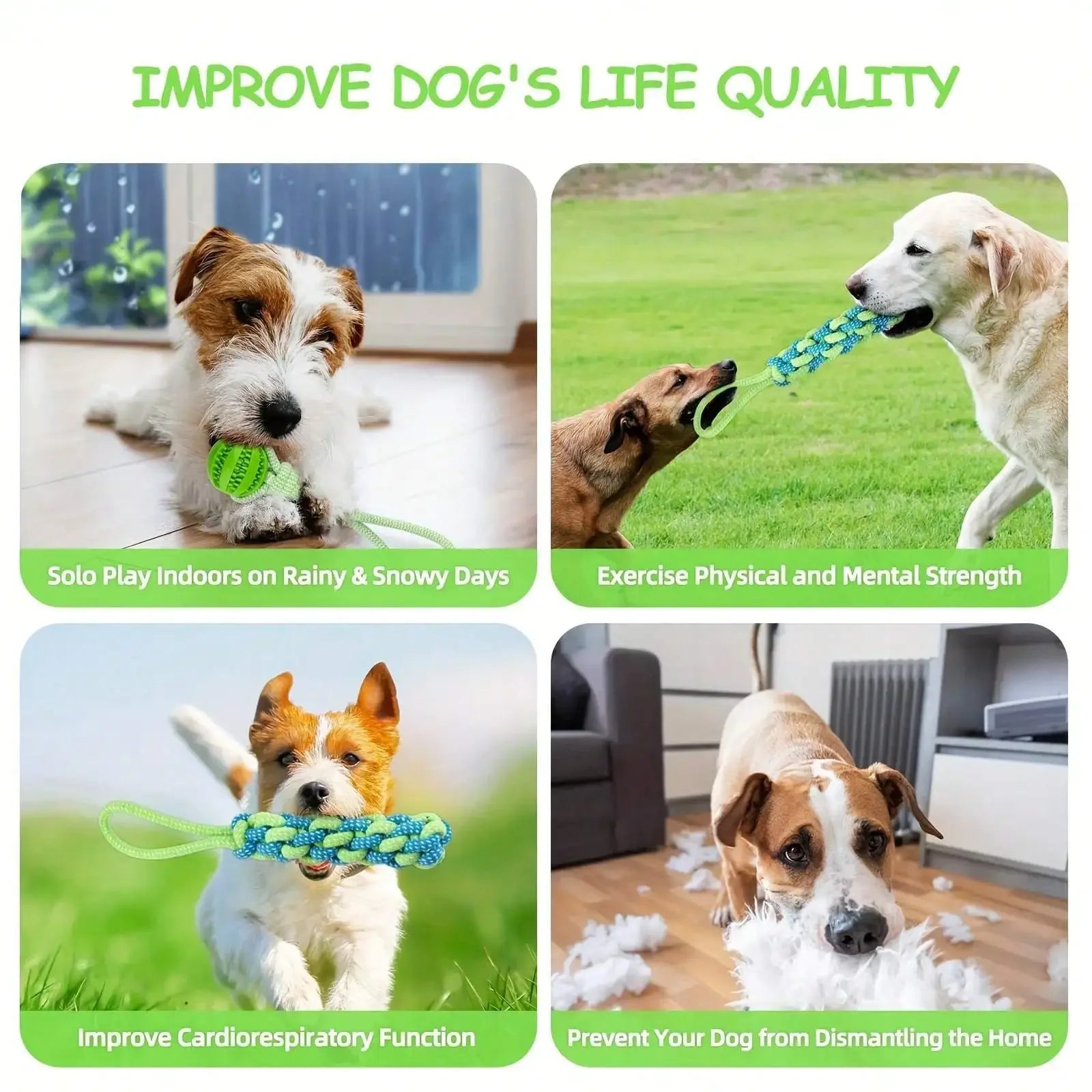 🪢 3PCS Dog Rope & Ball Toy Set