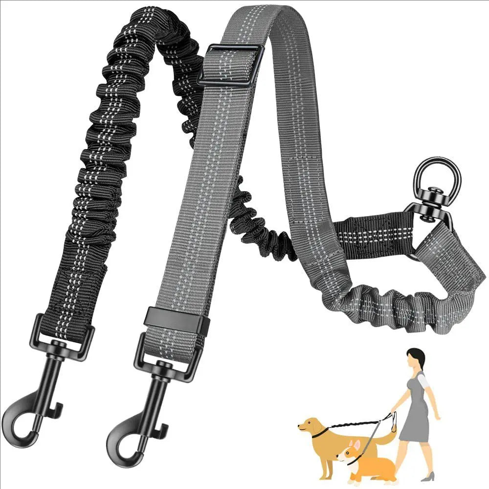 Elastic Double Dog Leash for Two Dogs – Shock Absorbing, Tangle-Free Training Leash