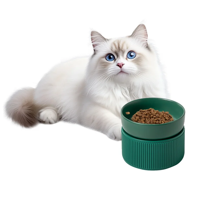 🐱 Elevated Pet Bowl – Anti-Black Chin & Neck-Friendly Design