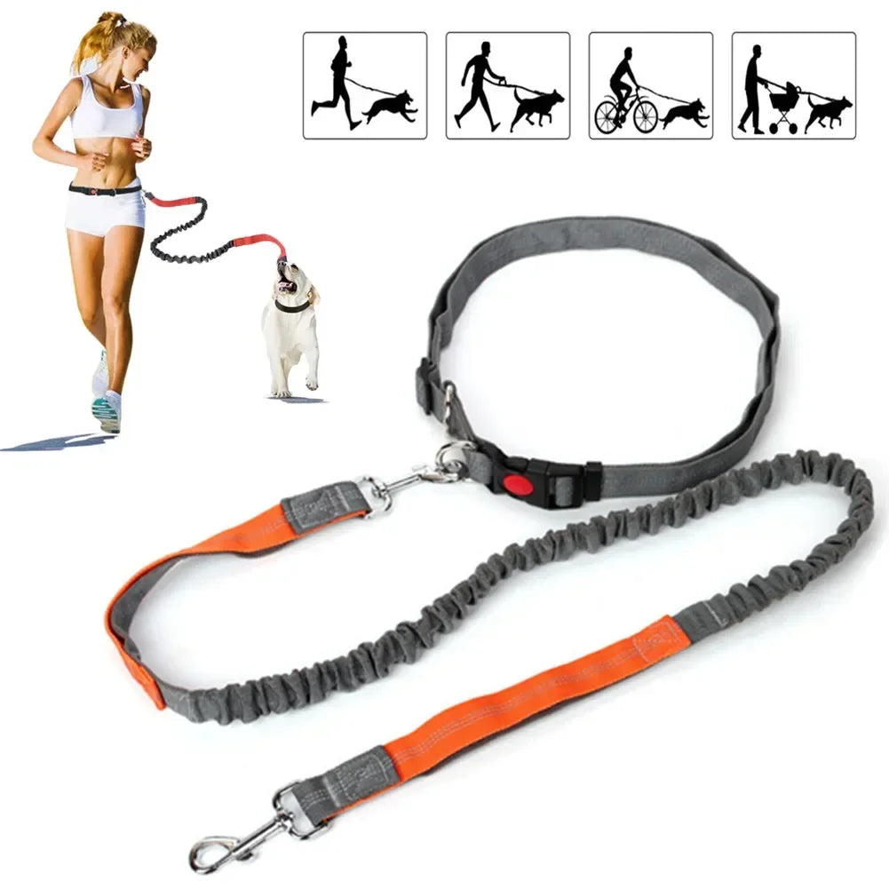 Hands-Free Retractable Dog Leash with Adjustable Waist Belt – Reflective Nylon Lead for Running, Jogging & Cycling