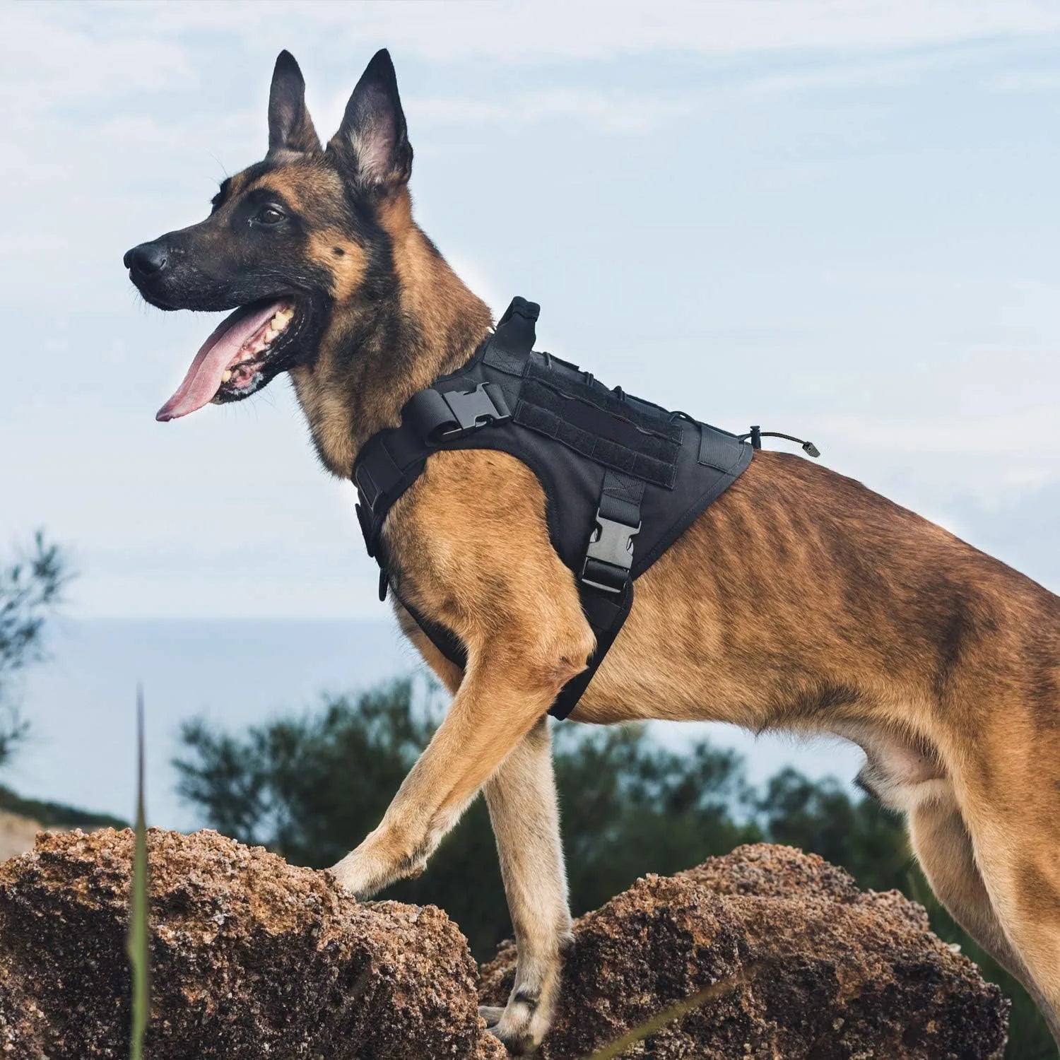 🐕 Tactical Dog Harness with Handle
