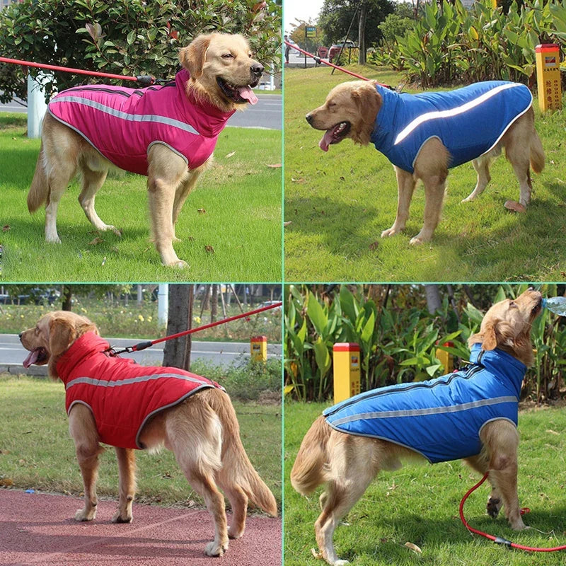 🐕 Waterproof Winter Dog Jacket