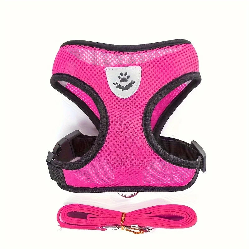 🐱 Adjustable Cat Harness with Leash