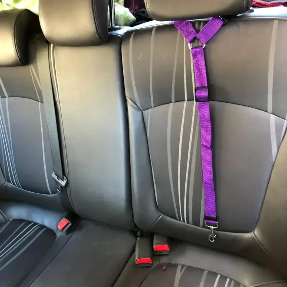 🚗 Pet Car Seat Belt for Dogs & Cats