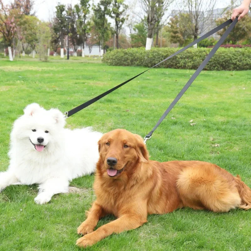 Adjustable Double-Ended Dog Leash – Strong Nylon Lead for Training & Walking