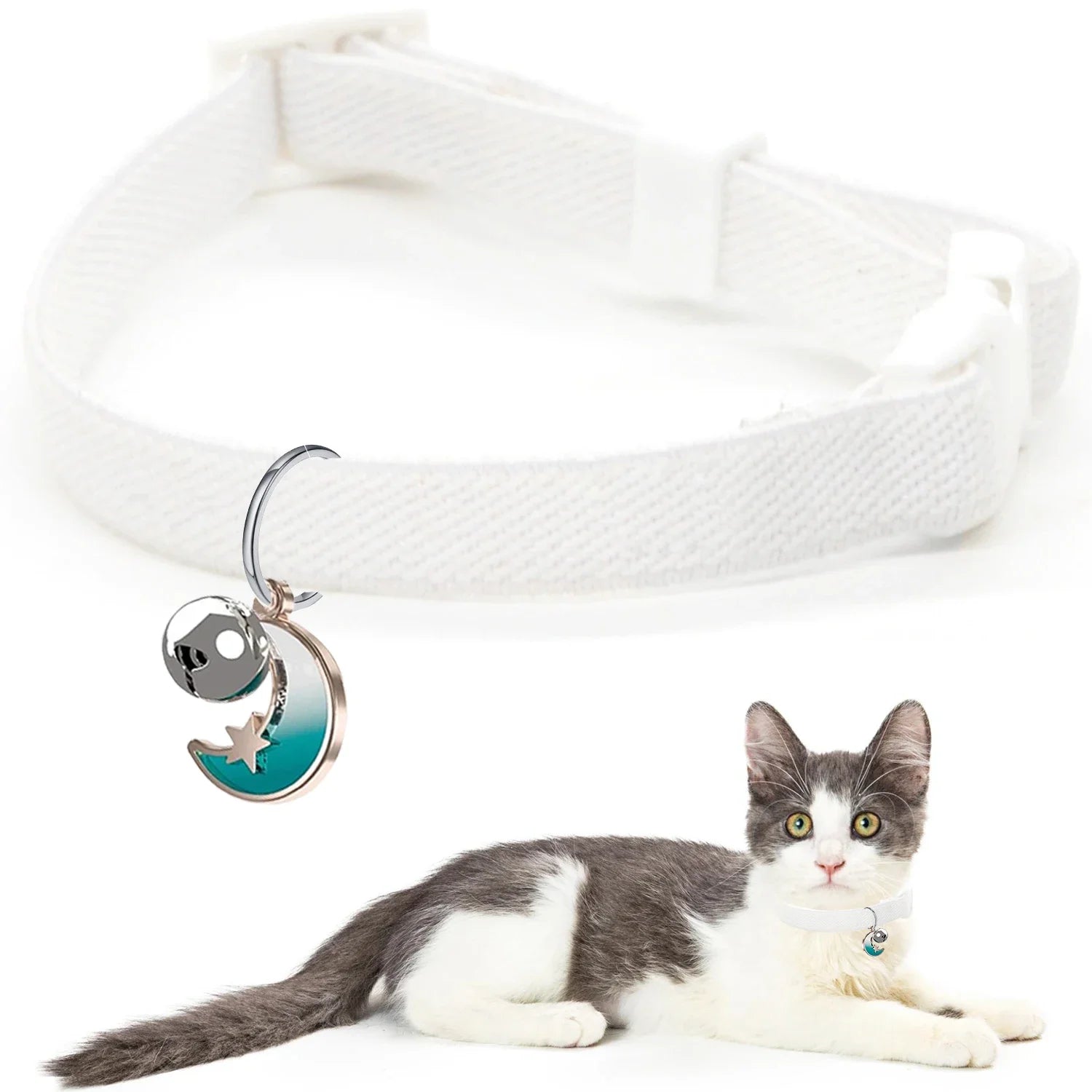 🐕🐈 Adjustable Pet Harness & Leash Set