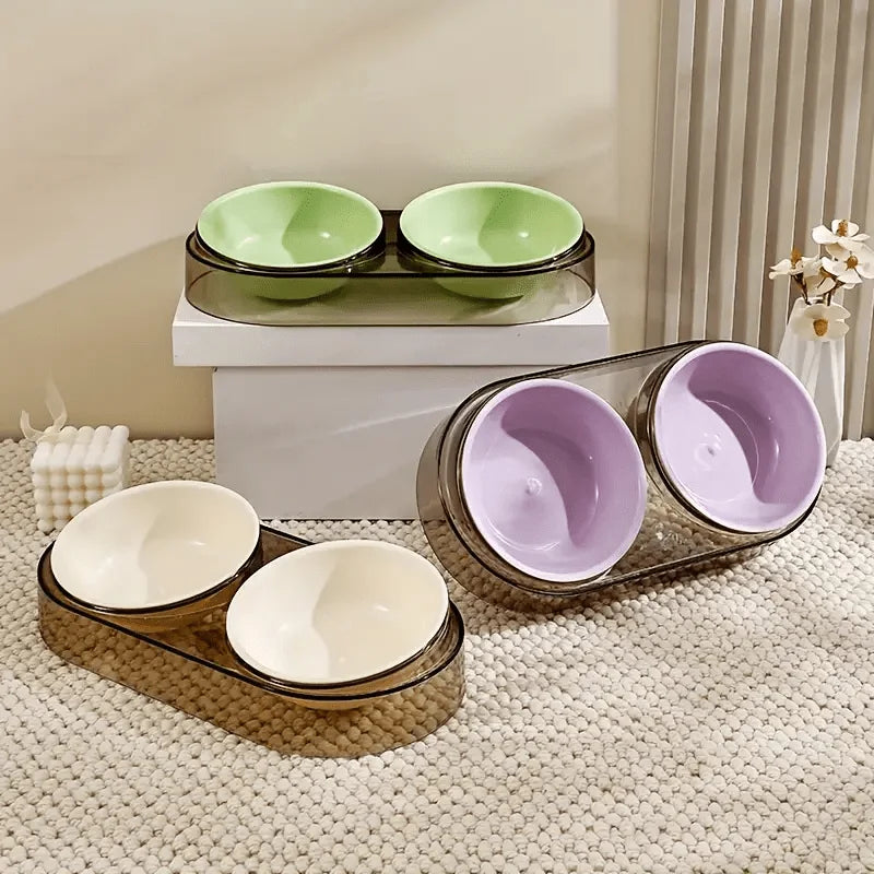 🐾 Durable Elevated Dual Bowl Feeder