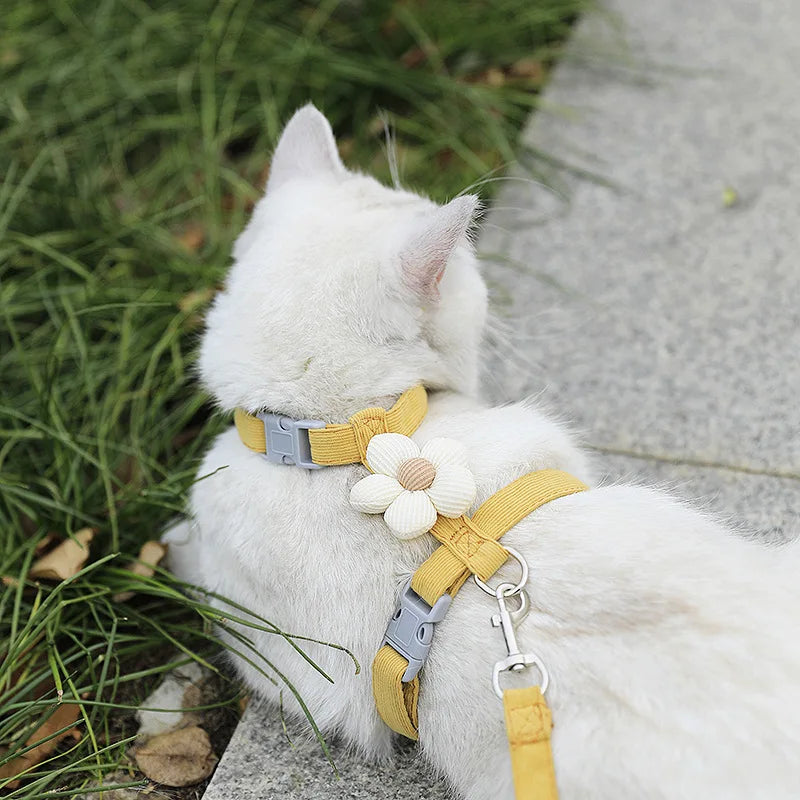 🐱 Adjustable Cat Harness & Leash Set